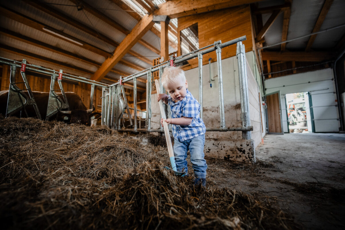 Kleinkind hilft bei der Stallarbeit mit