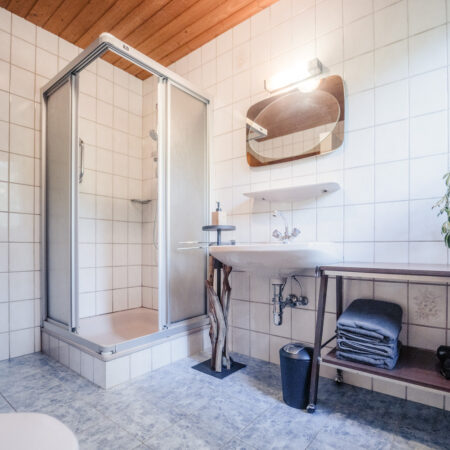 Badezimmer mit Dusche, Waschbecken und Handtüchern