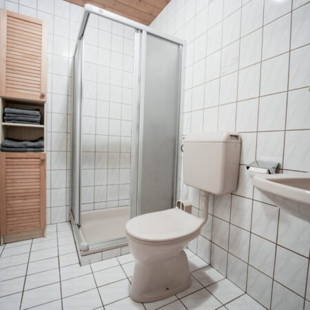 Helles Badezimmer mit Dusche und WC