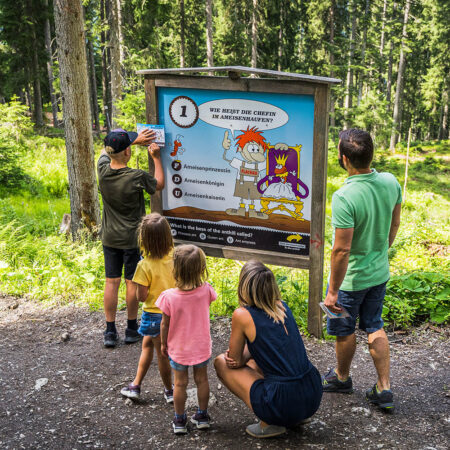 Kinder balancieren über Holzstämme auf der Wiese