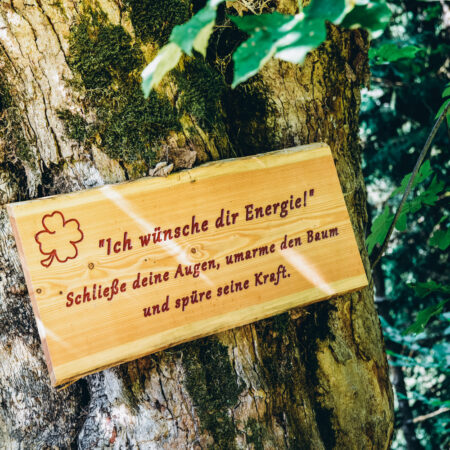 Holzschild mit einem guten Wunsch an einem Baum