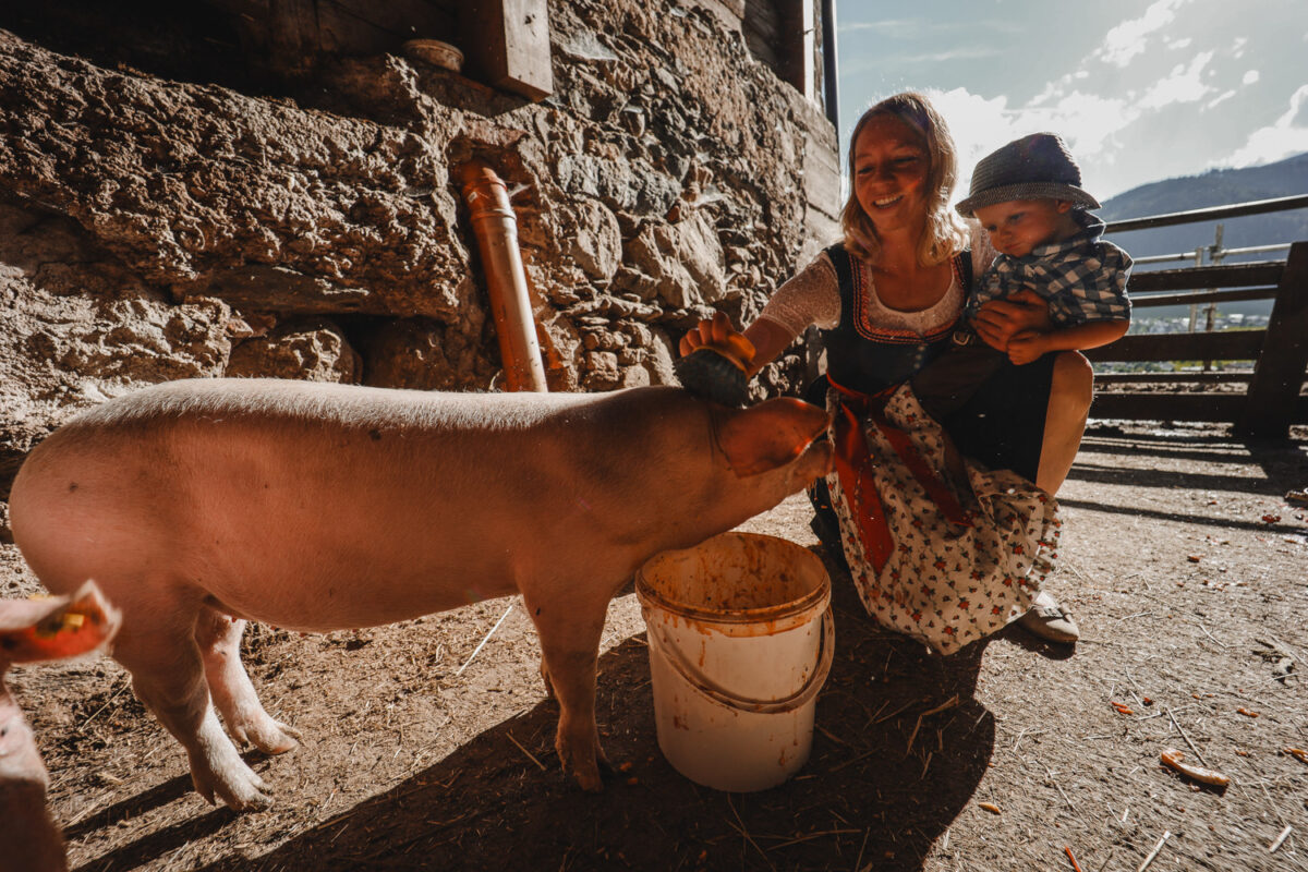 Gastgeberin füttert mit einem Kind die Schweine